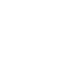 猫の足跡